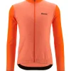 COLORE PURO - JERSEY